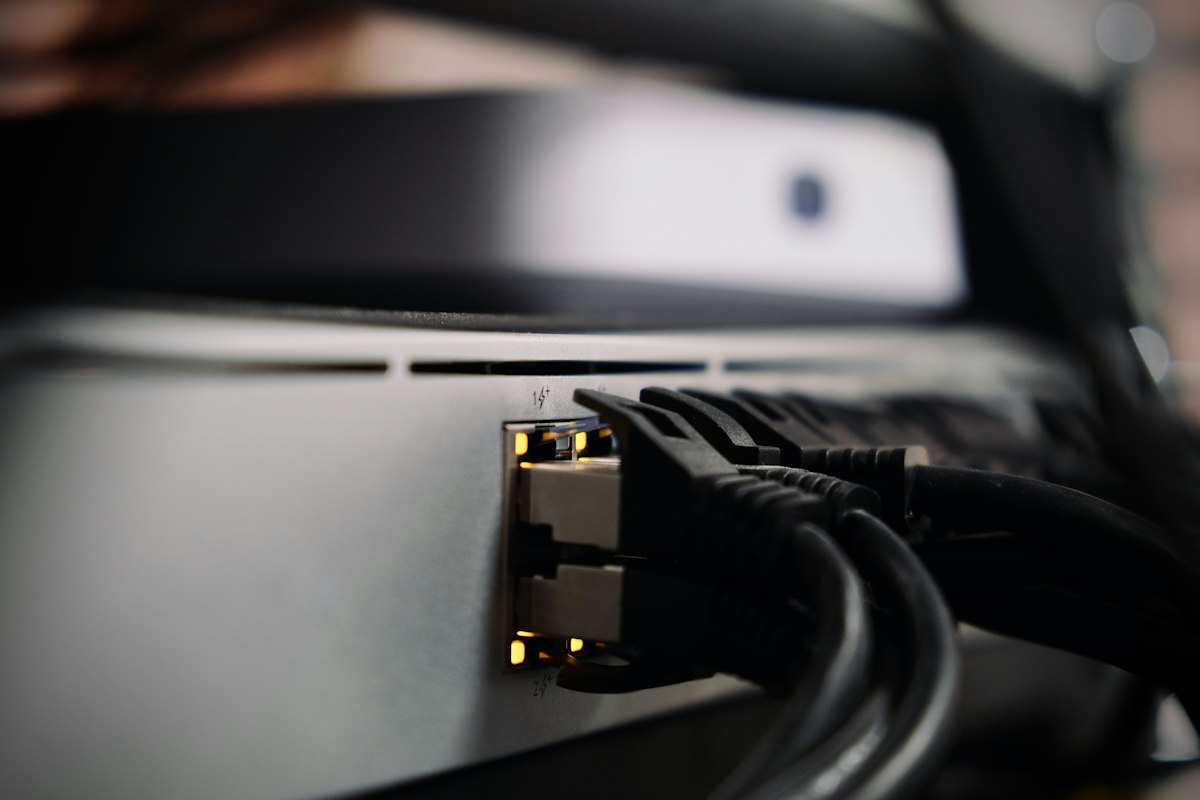 Network cables connected to a switch